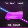 German Slap House - FL Studio 20.8 Template
