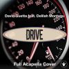 A Capella David Guetta ft Delilah Montagu - Drive