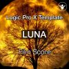 Luna Logic Template