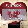 Blind Love FL Studio Template