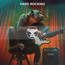 Hard Rocking