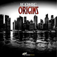 Iconic Origins Hip Hop Drums 1