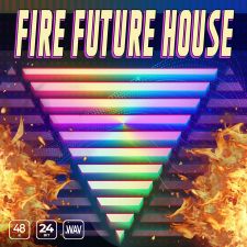 Fire Future House