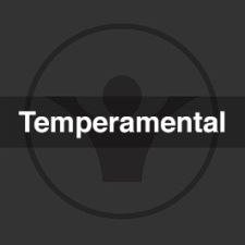 Temperamental (Original)