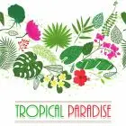 Tropical Paradise