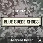 Blue Suede Shoes - Elvis Presley - Acapella Cover