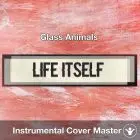 Glass Animals - Life Itself (Instrumental Cover)