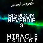 BIGROOM NEVERDIE 3