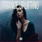 Trance Uplifitng FSOE Style (Cubase)
