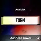 A Capella Ava Max - Torn