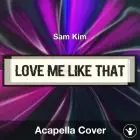 Love Me Like That Sam Kim - Acapella Cover