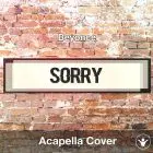 Sorry (Beyonce) - Acapella Cover
