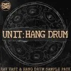 Unit: Hang Drum & Rav Vast
