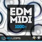 EDM MIDI Ultimate 1,000+