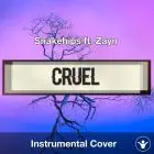 Snakehips ft. Zayn - Cruel (Instrumental Cover)
