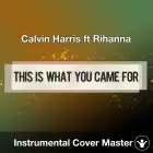 Calvin Harris ft Rihanna - This Is What You Came For (Instrumental Cover)