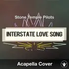 Interstate Love Song (Stone Temple Pilots) - Acapella Cover