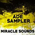 ADE SAMPLES