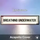 Breathing Underwater (Emeli Sande) - Acapella Cover