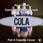 Cola (Camelphat & Elderbrook) - Acapella Vocal Cover