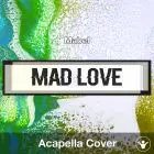 Mad Love (Mabel) - Acapella Cover