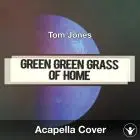 Green Green Grass Of Home (Tom Jones) - Acapella Cover