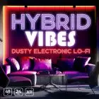Hybrid Vibes: Dusty Electronic Lo-fi