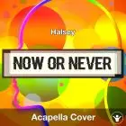 Now Or Never (Halsey) - Acapella Cover