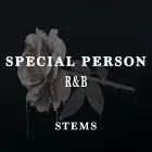 Special Person ( WAV STEMS )
