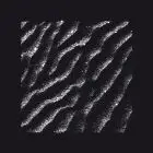 Acid Week (STEMS, MASTER, MIDI)