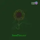 Purple Peach - Sunflower