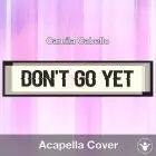 Don't Go Yet - Camila Cabello - Acapella Cover
