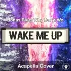 Don't Wake Me Up - Jonas Blue, Why Don't We - Acapella Cover