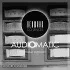 Audiomatic - Underground Techno Cubase Template
