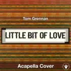 Little Bit of Love - Tom Grennan - Acapella Cover