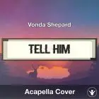 Tell Him (Vonda Shepard) - Acapella Cover