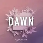 Dawn - Future Bass Ableton Templates + Serum Presets