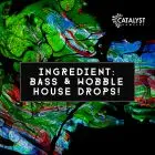 Bass & Wobble House Drops