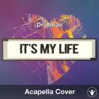 It's My Life 2014 (Dr Alban) - Acapella Cover