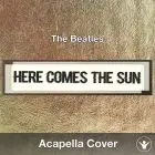 Here Comes The Sun (The Beatles) - Acapella Cover
