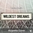 Wildest Dreams (Taylor Swift) - Acapella Cover