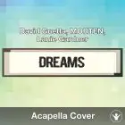 Dreams (David Guetta, MORTEN, Lanie Gardner) Acapella Cover