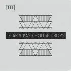 Slap & Bass House Drops