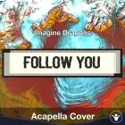 Follow You (Imagine Dragons) - Acapella Cover