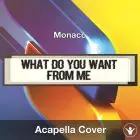 What Do You Want From Me (Monaco) - Acapella Cover