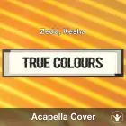 True Colours (Zedd, Kesha) - Acapella Cover