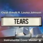Clean Bandit ft. Louisa Johnson - Tears (Instrumental Cover)