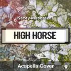 High Horse (Kacey Musgraves) - Acapella Cover