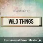 Alessia Cara - Wild Things (Instrumental Cover)