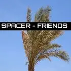 Spacer - Friends